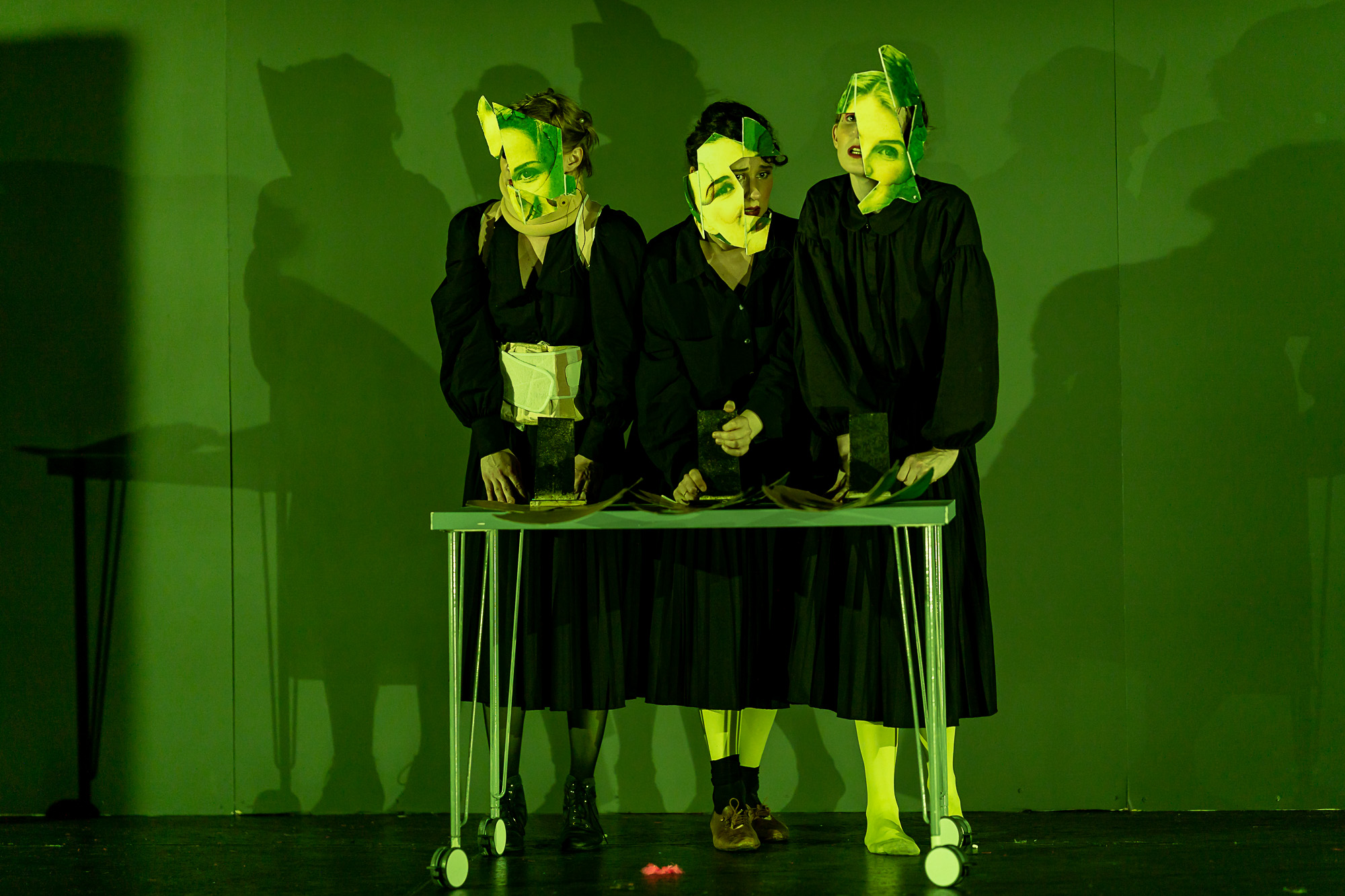 Promienne - fot. Dariusz Kozłowski