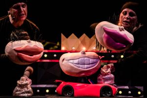 Dzikie łabędzie - fot. Piotr Nykowski