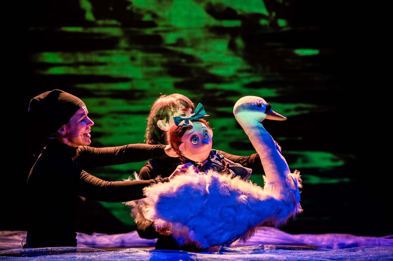 Dzikie łabędzie - fot. Piotr Nykowski