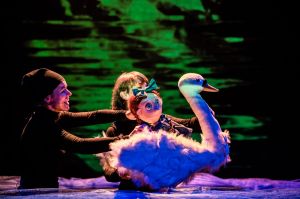 Dzikie łabędzie - fot. Piotr Nykowski