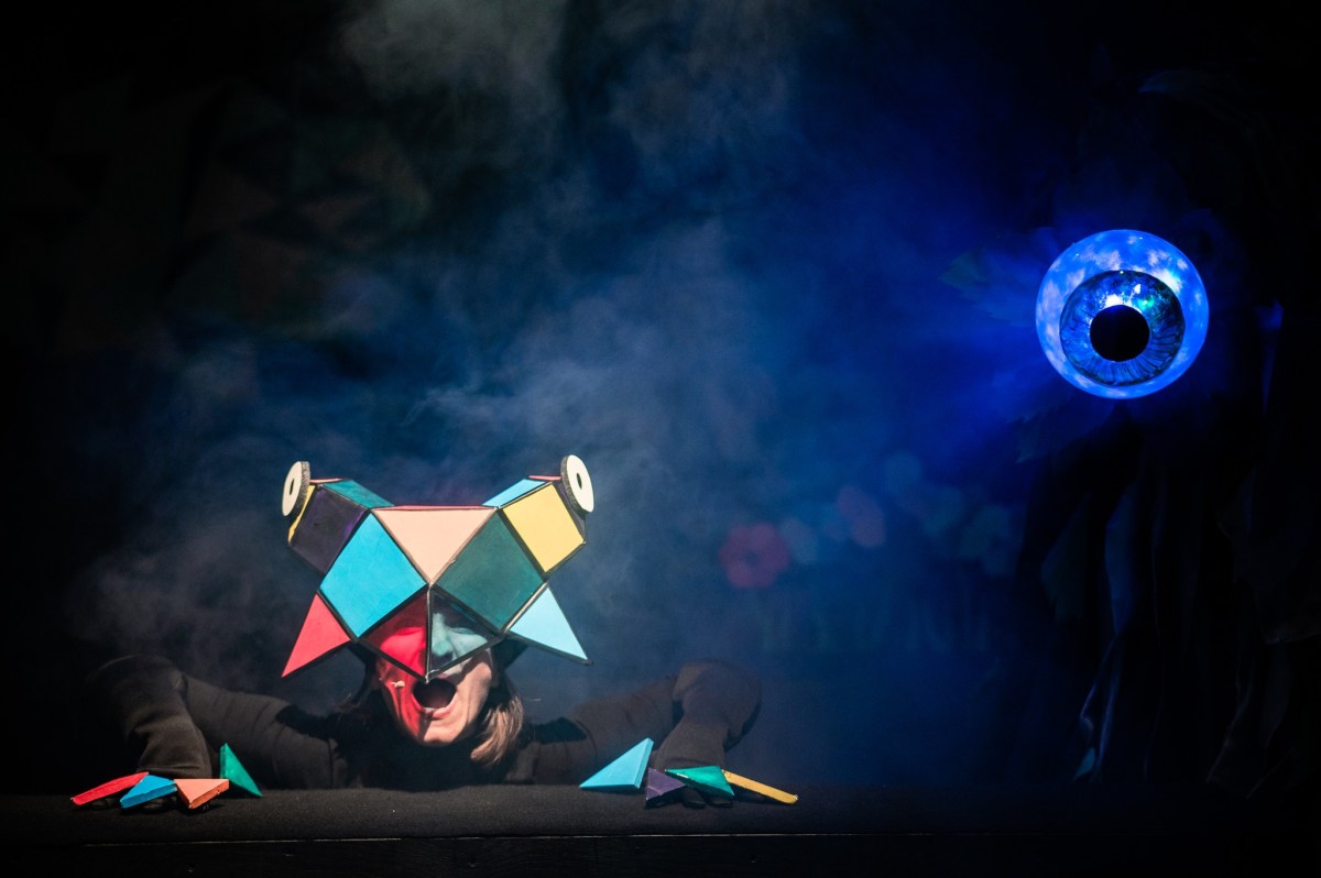 Dzikie łabędzie - fot. Piotr Nykowski