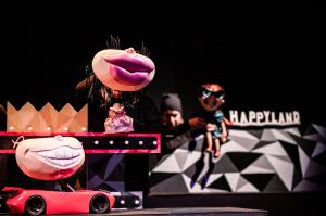 Dzikie łabędzie - fot. Piotr Nykowski