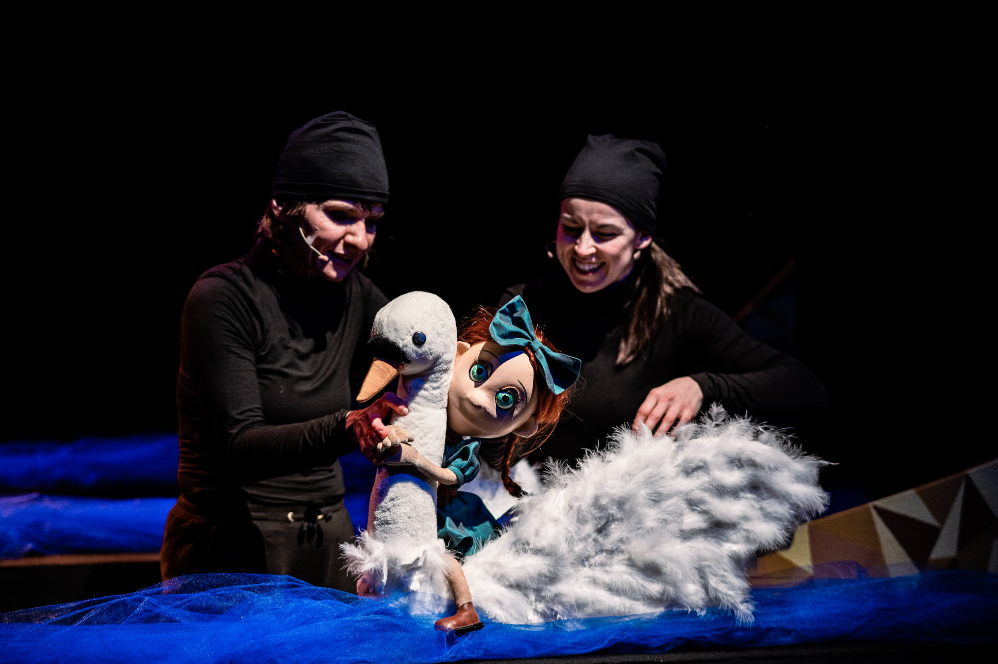 Dzikie łabędzie - fot. Piotr Nykowski