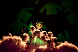 Dzikie łabędzie - fot. Piotr Nykowski