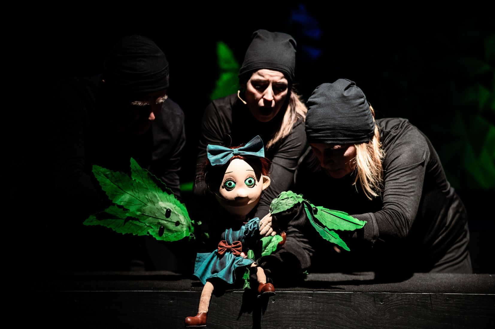 Dzikie łabędzie - fot. Piotr Nykowski