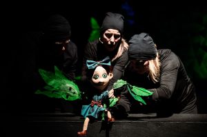 Dzikie łabędzie - fot. Piotr Nykowski