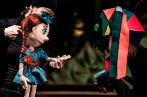 Dzikie łabędzie - fot. Piotr Nykowski