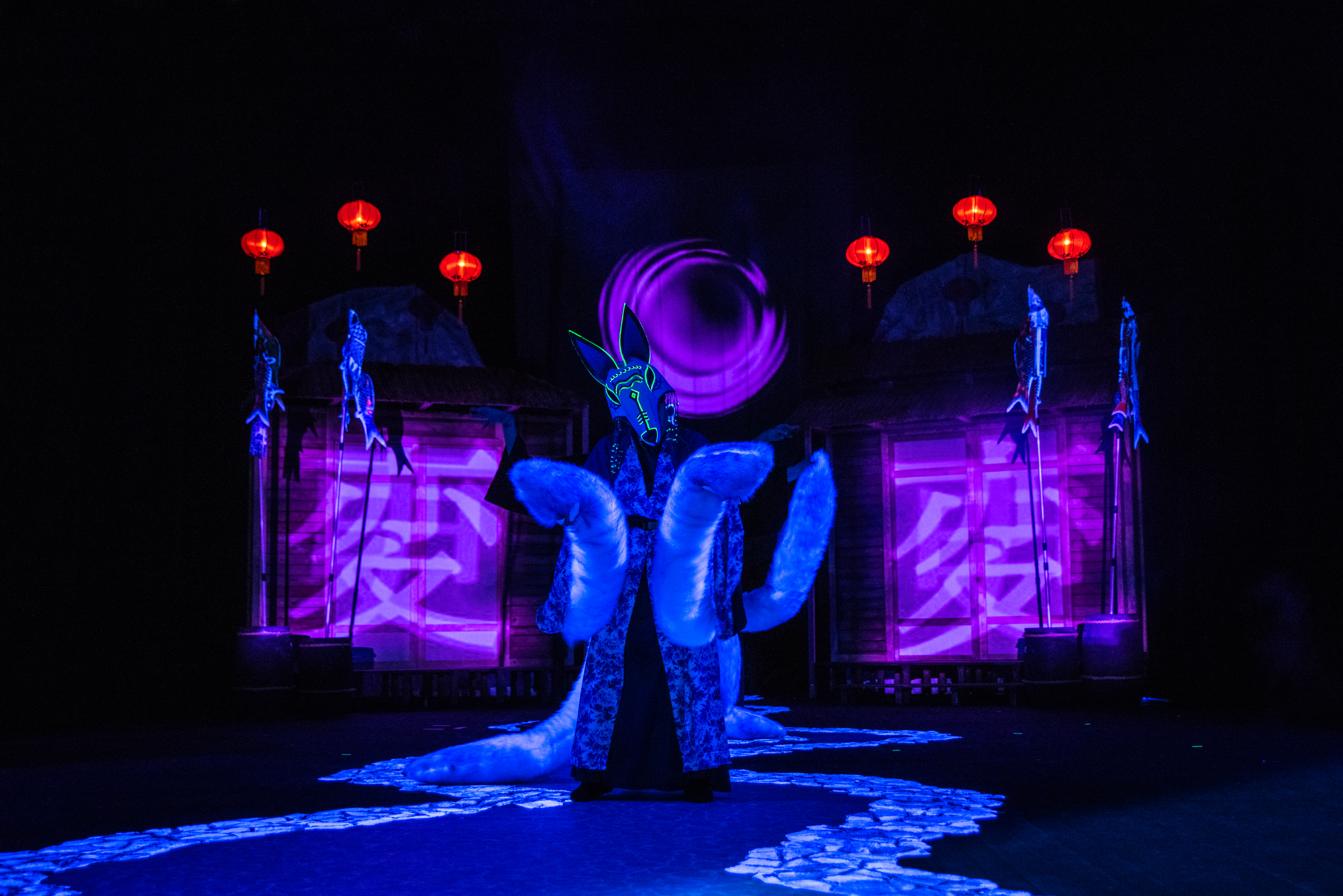 Jak zostać smokiem fot. Piotr Dłubak (13)