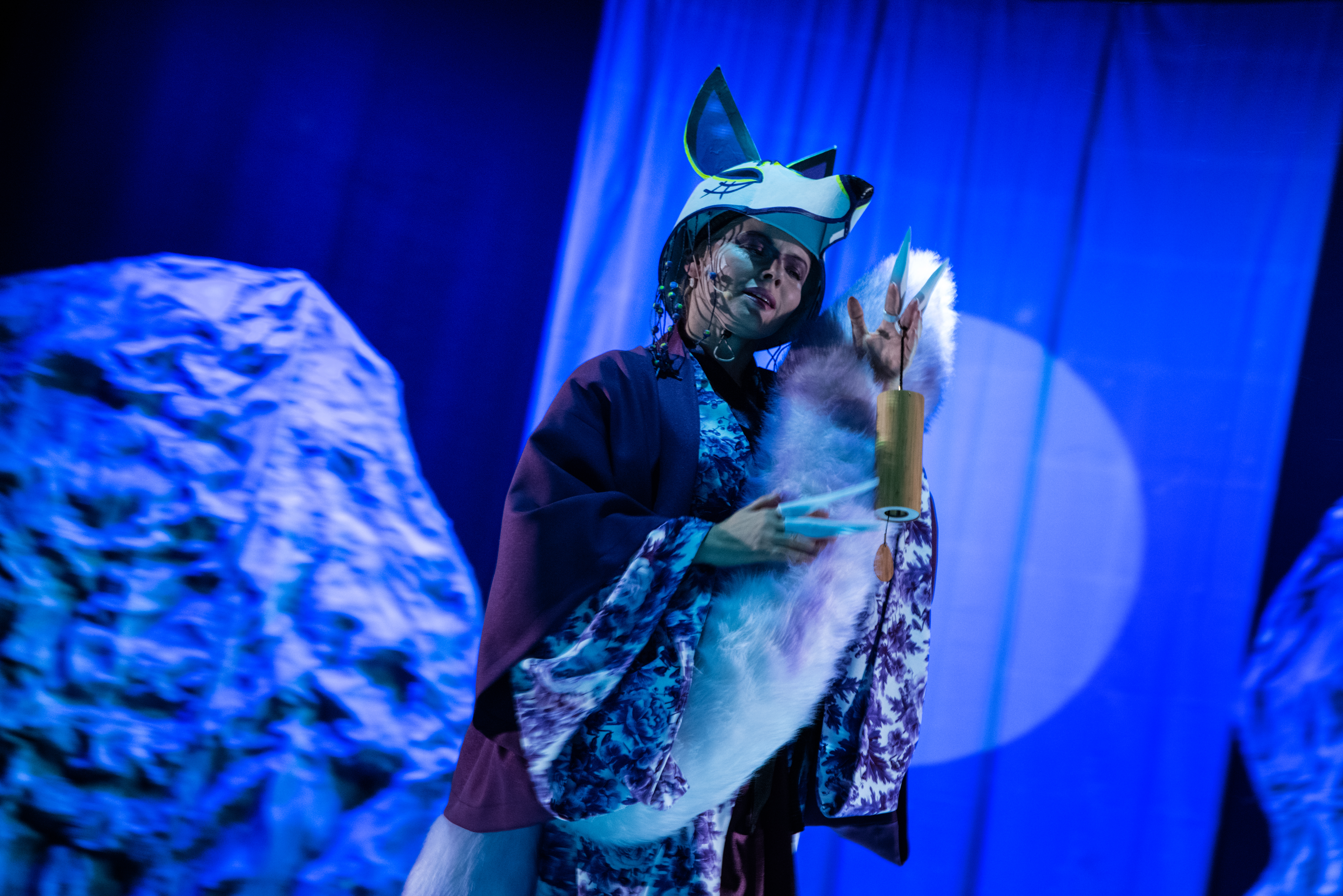 Jak zostać smokiem fot. Piotr Dłubak (41)