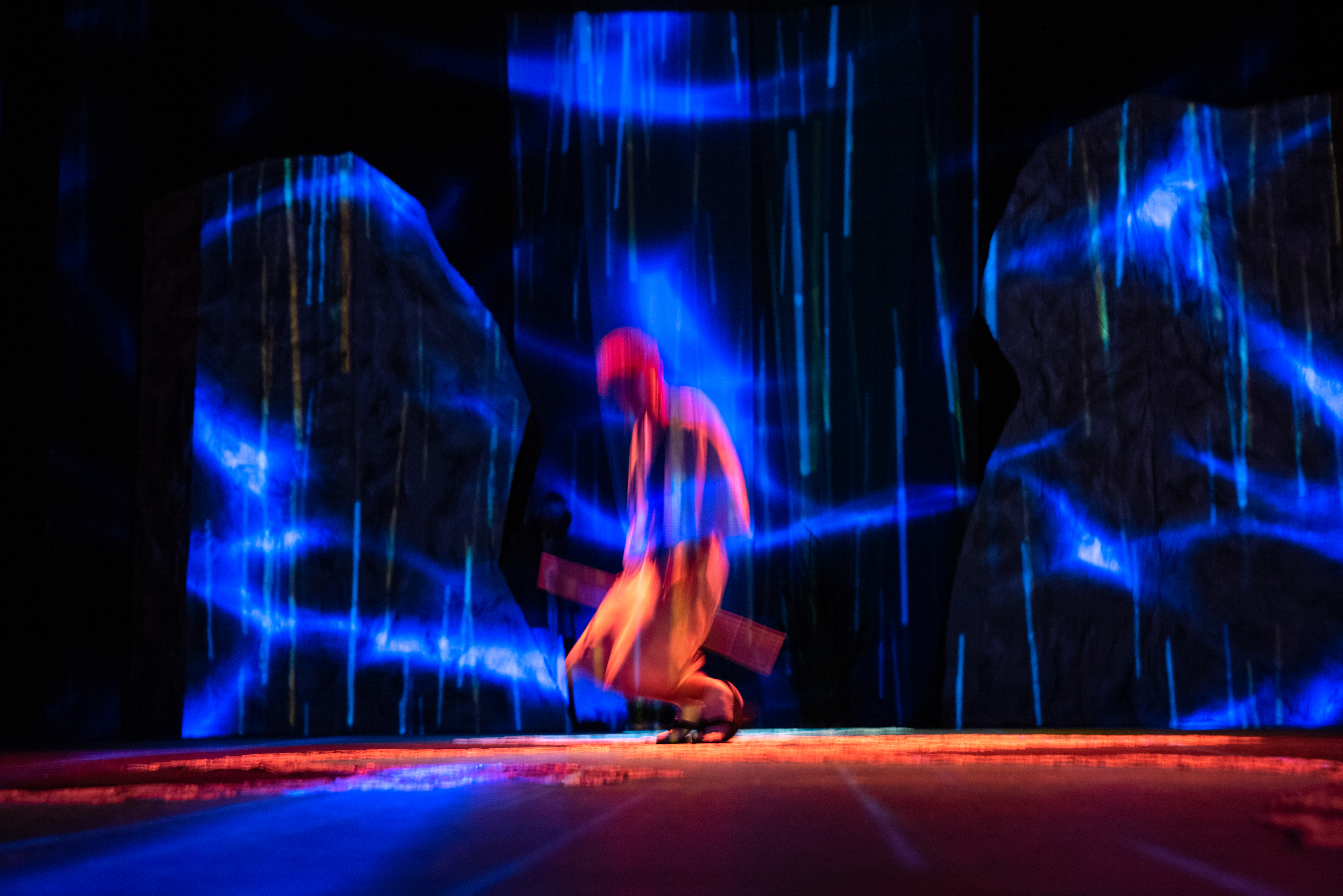 Jak zostać smokiem fot. Piotr Dłubak (6)