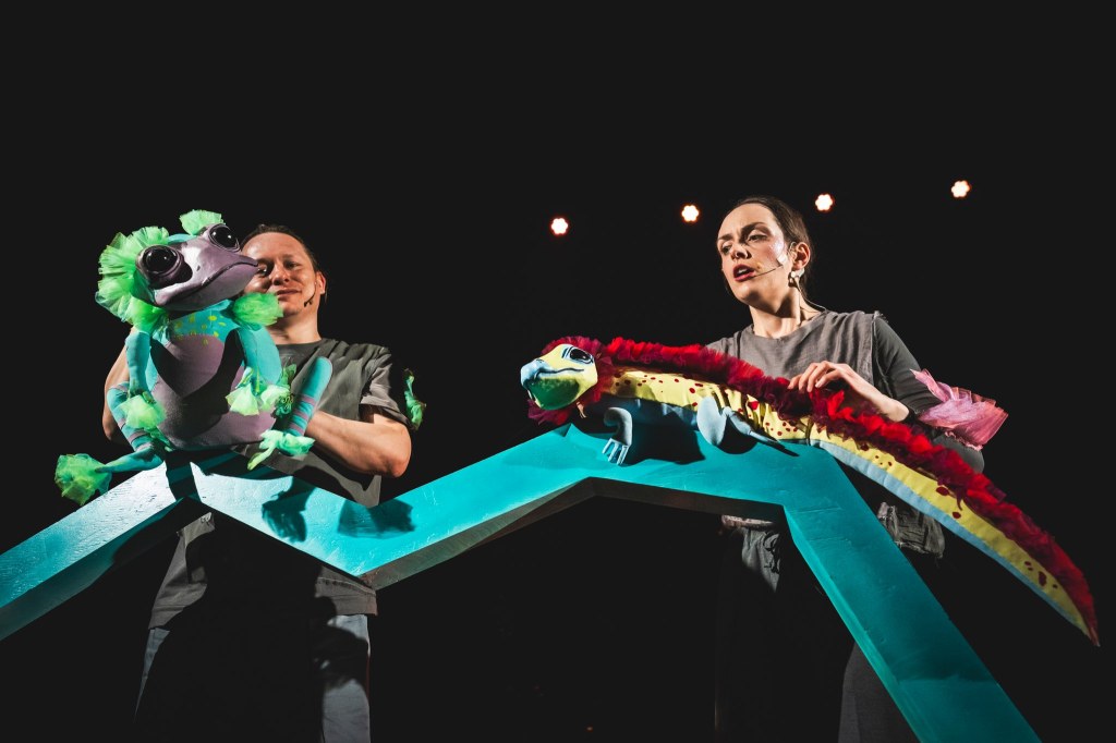 Cień i jeż – for. HaWa