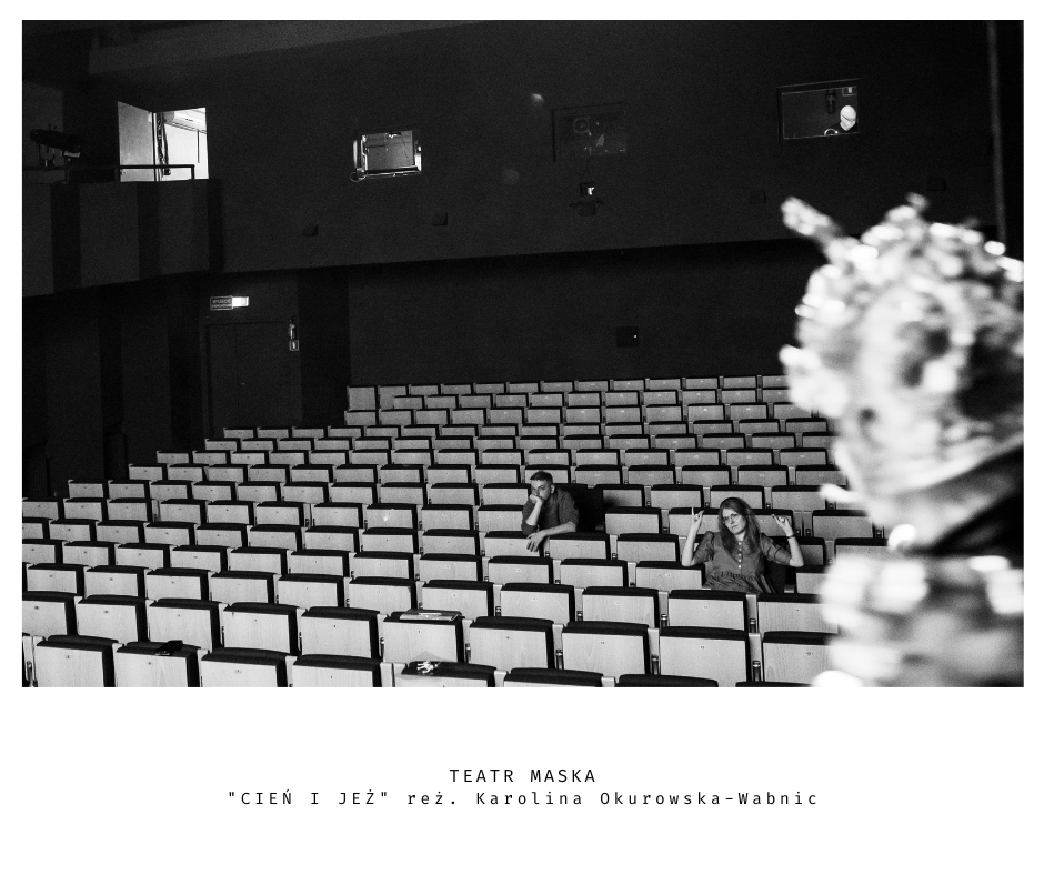 Cień i jeż – for. HaWa