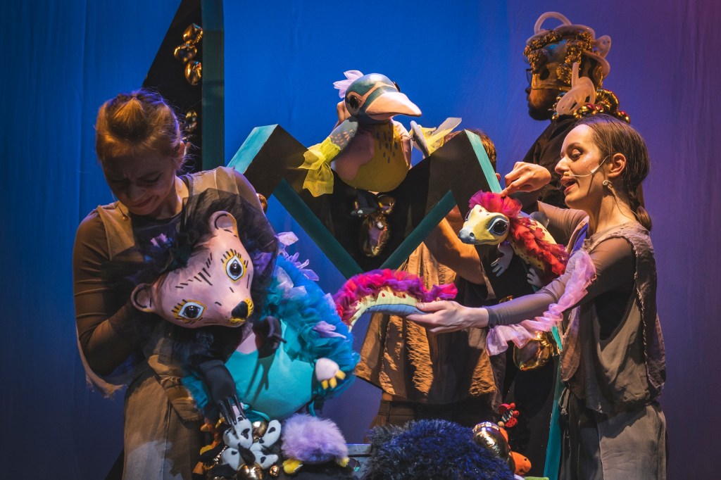 Cień i jeż – for. HaWa