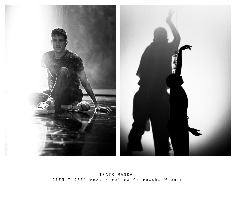 Cień i jeż – for. HaWa