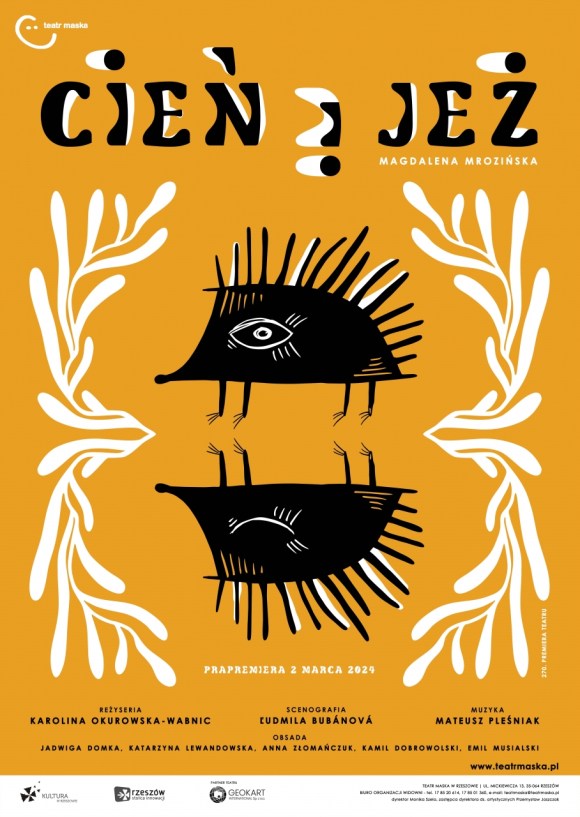 Cień i jeż – plakat